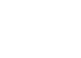 Nexus_D2X_logo_white final (1)